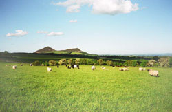 The Eildon Hills from the farm